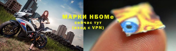 гидра Магас