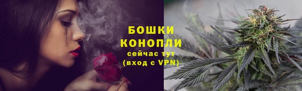 ГАЛЛЮЦИНОГЕННЫЕ ГРИБЫ Майский