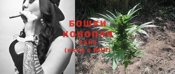 прущие грибы Липки