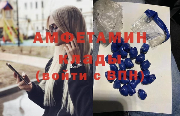 гидра Магас