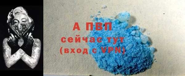 гидра Магас