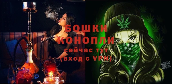 ГАЛЛЮЦИНОГЕННЫЕ ГРИБЫ Майский