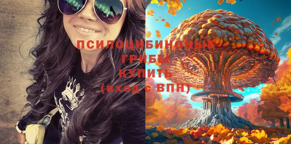 гидра Магас