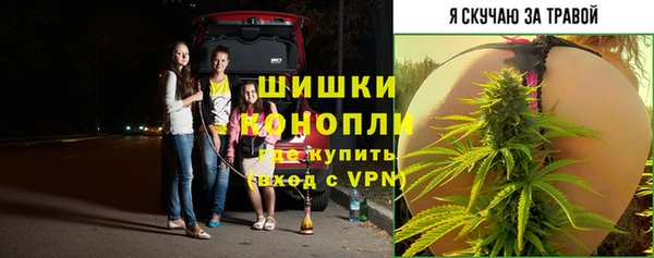 ГАЛЛЮЦИНОГЕННЫЕ ГРИБЫ Майский