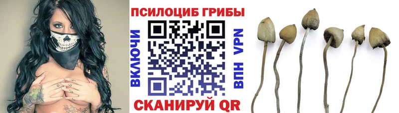 Псилоцибиновые грибы мухоморы  Купить где  Алушта 